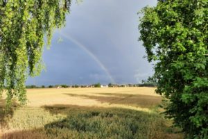 Manchinger Felder mit Regenbogen
